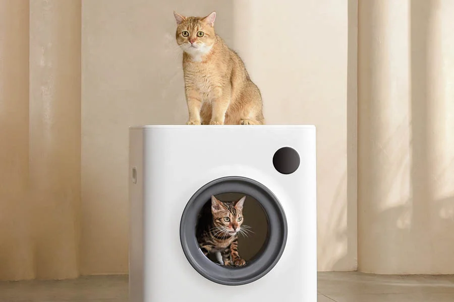 best litter box for 2 cats